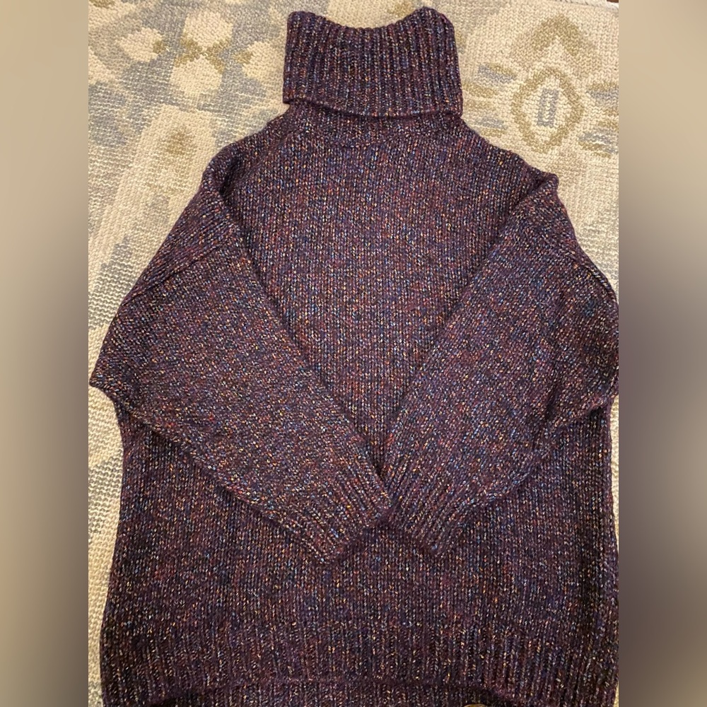 Zara Multi Color Purple with Metallic Thread Sweater